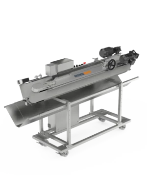BANTLI YUVARLAMA